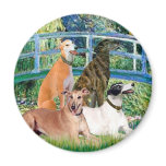 Greyhounds (four) - Bridge magnets