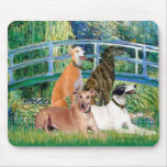 Greyhounds (four) - Bridge mousepads