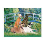 Greyhounds (four) - Bridge postcards