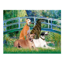 Greyhounds (four) - Bridge Postcards