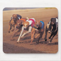 Greyhounds racing on track mouse mat