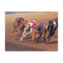 Greyhounds racing on track post card