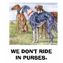 Greyhounds - We don't ride in purses
