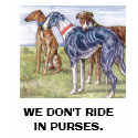 Greyhounds - We don't ride in purses t-shirts