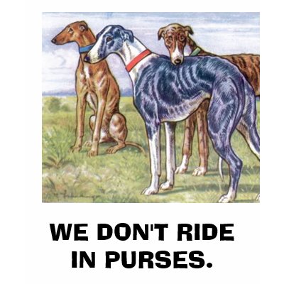 Greyhounds - We don't ride in purses Tee Shirts by PURPLEGREYHOUND