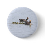 Greylag Family Button