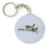 Greylag Family Key Chains