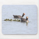 Greylag Family Mousepads