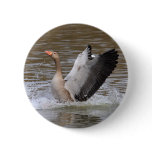 Greylag Geese Pins