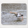 Greylag Geese Mouse Pads