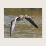 Greylag Geese postcards