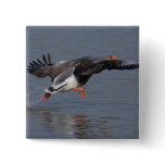 Greylag Goose Pin