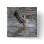 Greylag Goose Pinback Button