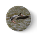 Greylag Goose Buttons