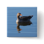Greylag Goose Pin