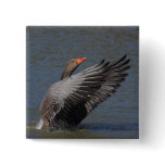 Greylag Goose Buttons