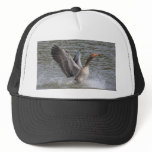 Greylag Goose Hat