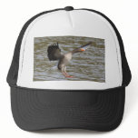 Greylag Goose Mesh Hat