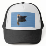 Greylag Goose Hat