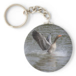 Greylag Goose Keychains