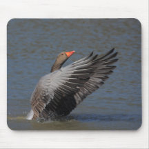 Greylag Goose Mousemats