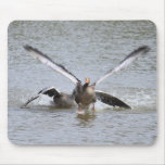 Greylag Goose Mouse Pads