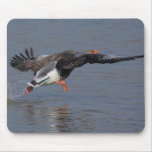 Greylag Goose Mousepads