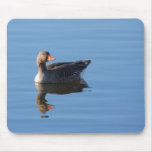 Greylag Goose Mousepads