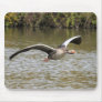 Greylag Goose Mouse Pad