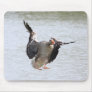 Greylag Goose Mouse Pads
