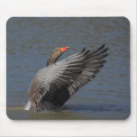 Greylag Goose Mousepad