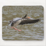 Greylag Goose Mouse Pads