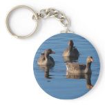 Greylag Goose Trio Keychain