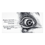 Grey's Anatomy — eyeball photo cards