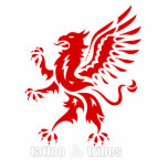 Griffin for kids t-shirts