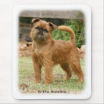 Griffon Bruxellois 9Y406D-078 mousepads