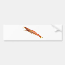 Grilled tiger prawn on a skewer bumper sticker