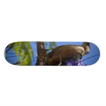 Grilling Brats Skate Board
