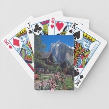 Grindelwald playing cards