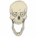 Grinning Skull photo sculptures