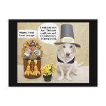Griping & Moaning Turkey postcards