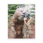 Griz and Girl Post Cards