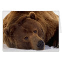 Grizzle Bear cards