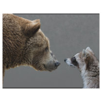 Grizzle Bear Meets Racoon