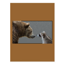 Grizzle Bear Meets Racoon postcards
