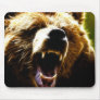 Grizzly Attack Mousepads