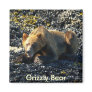 Grizzly Bear Art
