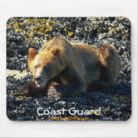 Grizzly Bear Art