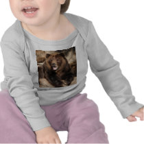 Grizzly Bear Boar