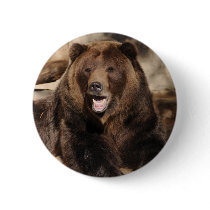 Grizzly Bear Boar